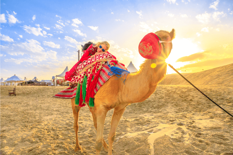 Camel riding-kuwait to dubai tour package