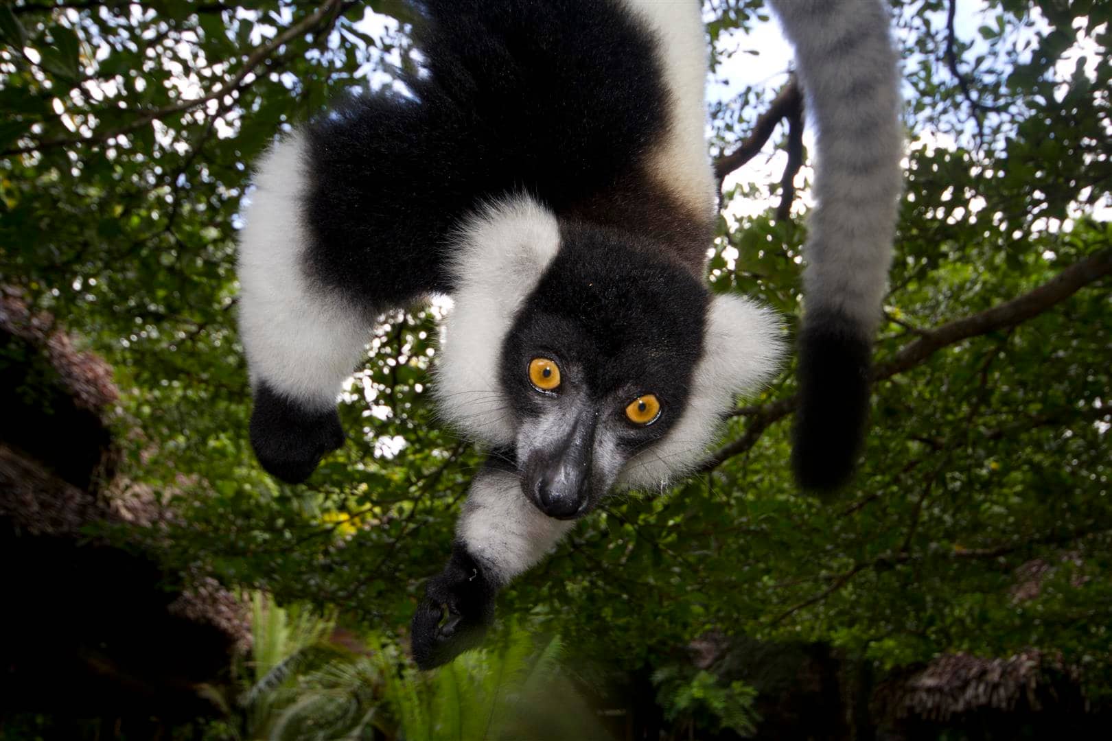 Madagascar wildlife Tour Packages from Kuwait