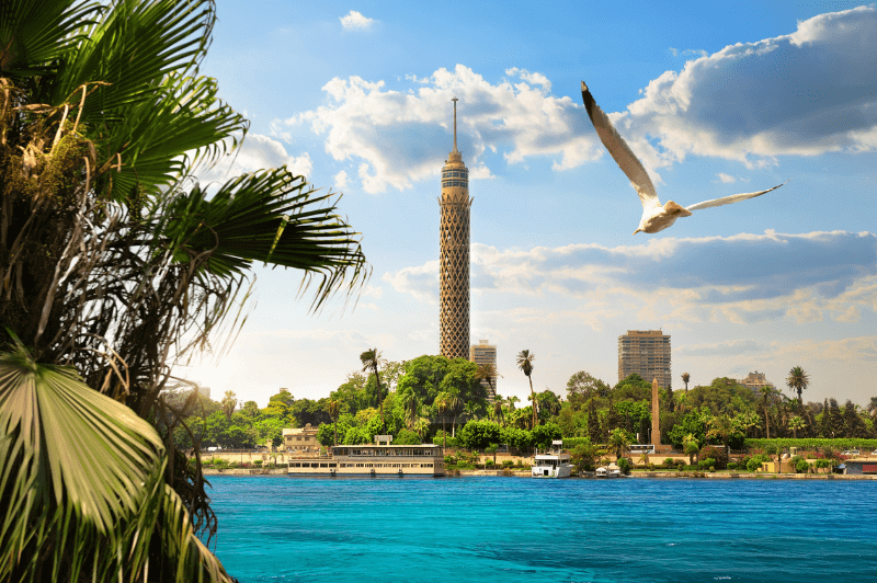 Fly Cairo with Tour Packages