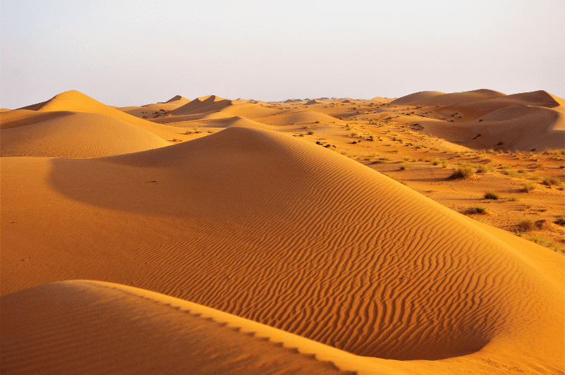 Wahiba Sands - oman tour Dune package